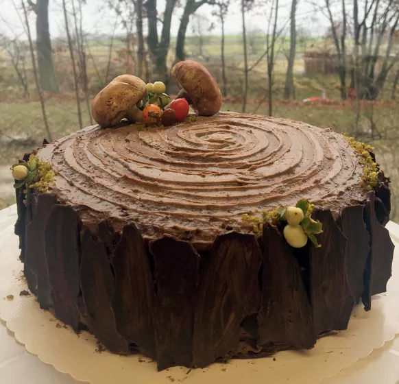 Lara Birthday Cake Nov18